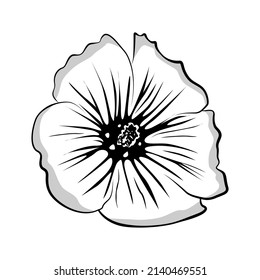 Dibujar la flor malva, la flor malva dibujada a mano. Negro y blanco, malva de contorno. Ilustración de Malva para tu diseño. Ilustración del vector