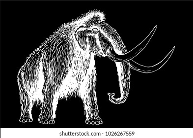 Sketch of mammoth isolated on black background,vector engraved illustration