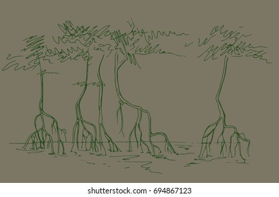 
Sketch of mangrove forests