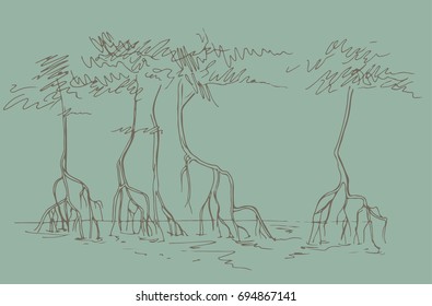 
Sketch of mangrove forests