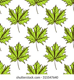 Sketch maple leaves in vintage style, vector seamless pattern