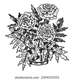 Esbozo de marigolas en una olla. Flor de primavera. Ilustración vectorial dibujada a mano aislada en fondo blanco.