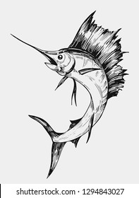 Sketch of marlin fish. Hand drawn illustration. Vector. Isolated