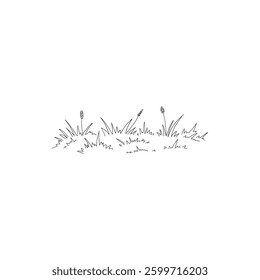 Sketch meadow grass. Line art spring field with natural wild grasses tufts and blooming wildflowers, simple hand drawn lawn grass decorative vector illustration icon