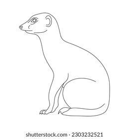 Sketch of Meerkat drawn by hand. Vector hand drawn illustration.