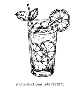 Sketch of a mojito with mint leaves and lime slices, side view, on a white background