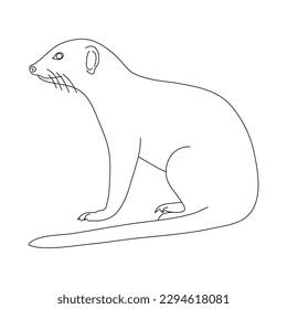 Sketch of Mongoose. Hand drawn vector illustration.