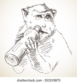 Sketch of monkey drinking from bottle, Hand drawn illustration