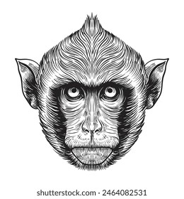 Sketch monkey face. Hand drawn doodle vector illustration