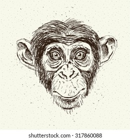 Sketch monkey face. Hand drawn doodle vector illustration.