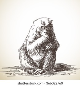 Sketch of monkey, Hand drawn illustration