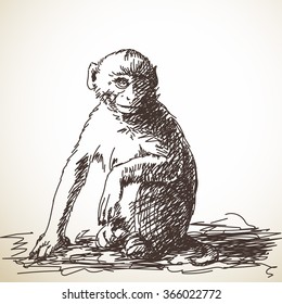 Monkey Sketch Images Stock Photos Vectors Shutterstock