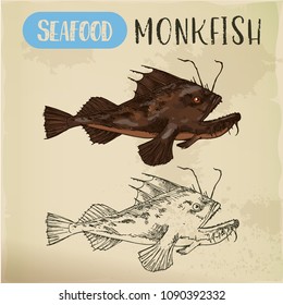 Sketch of monkfish or fishing-frog, sea-devil or angelshark. Hand drawn fish for signboard. Sport fishing and catch, marine and nautical, underwater wildlife and nature, fauna theme