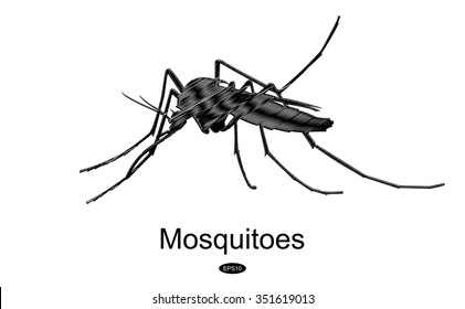 sketch mosquito.
