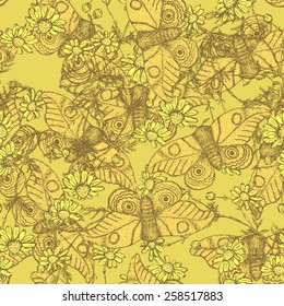 Sketch moth and daisy in vintage style, vector seamless pattern