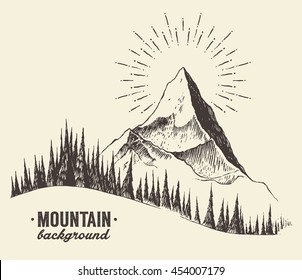Sketch of a mountain with fir forest, engraving style, hand drawn vector illustration