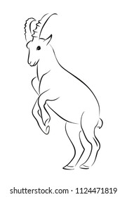 Sketch of mountain goat.