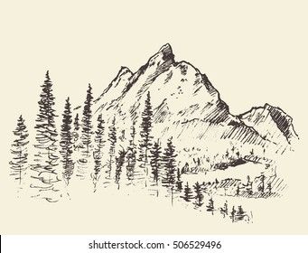 Sketch of a mountains with pine forest, engraving style, hand drawn vector illustration