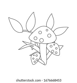Sketch Mushroom Vector illustration on white background