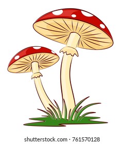 Sketch of mushrooms. 
