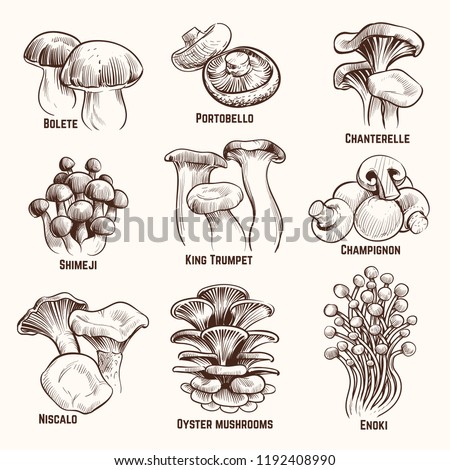 Image, Stock Photo mushroom Food Mushroom