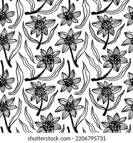 Sketch narcissus flowers seamless pattern. Floral botanical vector ornament with sunflowers. Hand drawn wildflower motif. Wild meadow sunflowers on stems with leaves. Contour drawing. 