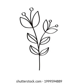 sketch nature flowers set icons