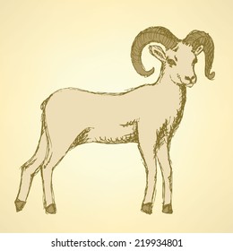 Sketch New Year ram in vintage style, background