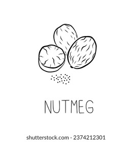 Esbozo Nutmeg Ilustración vectorial simple en el estilo Doodle	