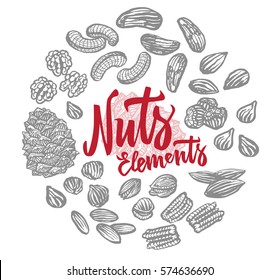 Sketch nuts elements round composition with brazil peanut almond walnut pecan hazelnut pistachio cashew sorts isolated vector illustration 