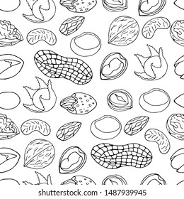 Sketch nuts vector seamless. Hand drawn outline nuts pattern. Food natural background.