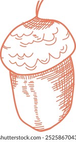 Sketch Oak Acorn Vector Illustration