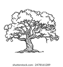 Sketch of oak tree. Black and white line art. Vintage tree logo isolated on background.