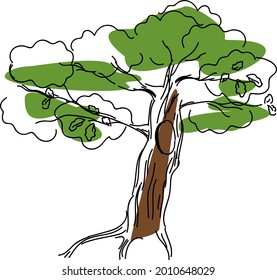 Sketch Of Oak Tree With Hollow