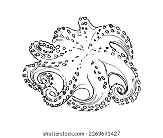 Sketch octopus. Hand drawing on a white background .Vector illustration