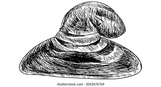 A sketch of an old shabby hat with hollows for the mouth and eyes. Mystical magic hat. Sorting by faculty in the school of magic and witchcraft.