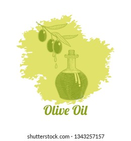 Sketch olives branch with olive oil drops and oil in jar or bottles. 