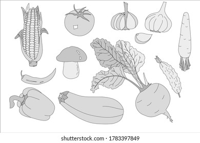 A sketch on the theme of vegetables. Background from vegetables. For design. Vector