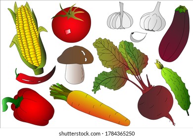 A sketch on the theme of vegetables. Background from vegetables. For design. Vector