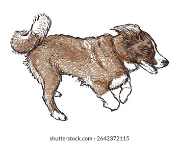 Sketch of one cute running border collie puppy, purebred dog, realistic hand drawn vector illustration 