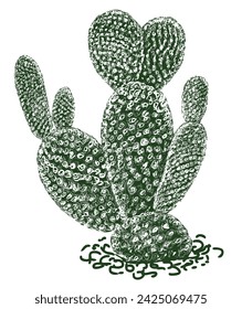 Bosquejo de un cactus del desierto, dibujos vectoriales a mano aislados en blanco