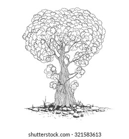 Sketch of one trees. Vector drawing illustration 