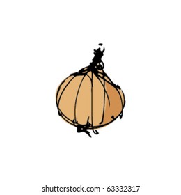 sketch of an onion