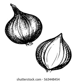 Sketch Onion hand drawn set. Full and Half cutout slice. Isolated Vegetable engraved style object. vegetarian food drawing