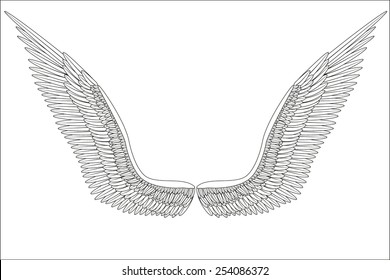 Sketch open angel wings. Vector Illustration isolated on white background.