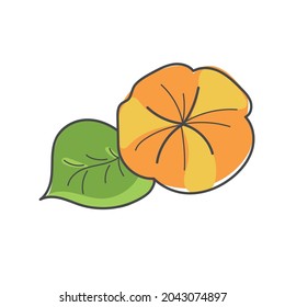 Esbozo de una flor de naranja con una hoja
