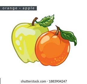 sketch oranges and apples: 
two whole fruits on a white background, 
isolated vector drawing