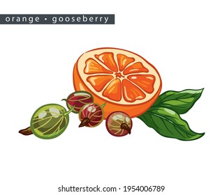 sketch oranges and gooseberries: 
one half of the fruit, berries and leaves on a white background, 
isolated vector drawing