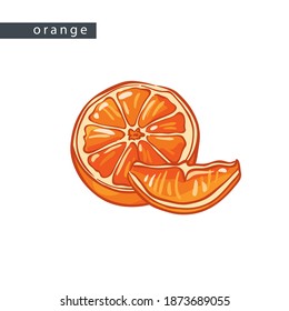 sketch oranges: one half and one slice 
on a white background, isolated vector drawing