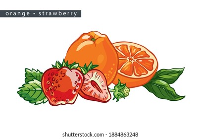 sketch oranges and strawberries: 
one whole fruit, one half, berries and leaves on a white background, 
isolated vector drawing